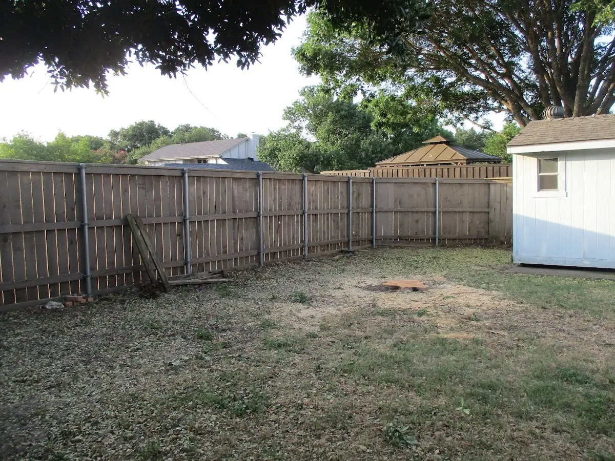 Cleared yard after professional tree removal in Lisbon